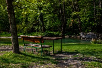Beautiful shot of a bench and a wooden table in a green forest