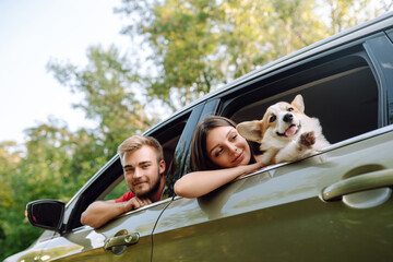Lovely young couple with a dog sits in the back seat of a car. Happy man with a woman and his...
