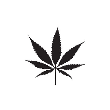 Marijuana leaf vector with rastafarian colors 