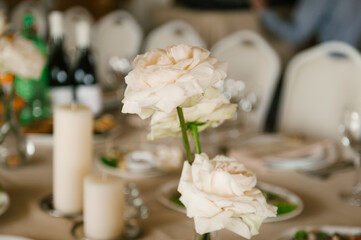 Decor of the festive table with white roses