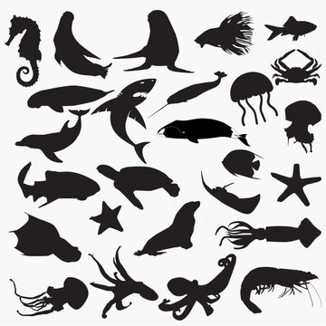 sea animals silhouettes