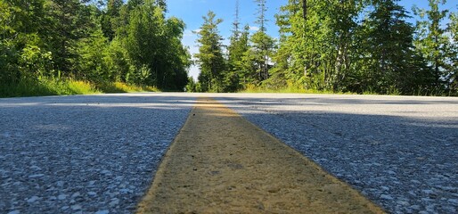 Close-up shot of a highway road in front of pine trees on a sunny day © 3a3/Wirestock Creators
