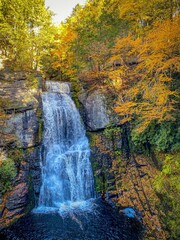 Vertical shot of a scenic waterfall in the beautiful fall forest
