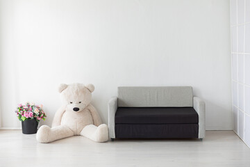 sofa toy flowers on white background interior in the room