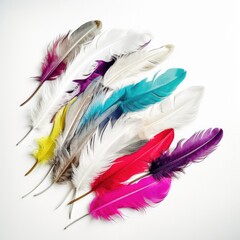 pink and white feathers