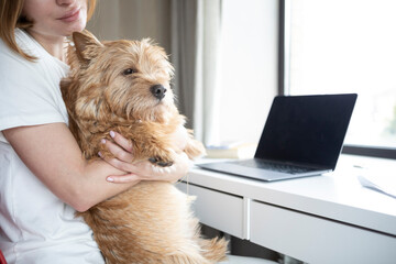 Close-up portrait of woman hugging cute dog at home