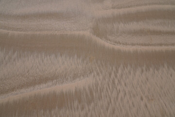 Fototapeta premium Sand painting, the surf of the Atlantic paints artistic structures in the sand.
