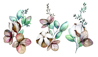 watercolor drawing. set of bouquets, compositions of cotton flowers, dried hydrangea flowers and eucalyptus leaves