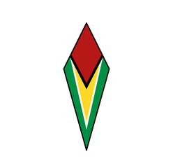 Guyana flag icon, illustration of national flag design with elegance concept, perfect for independence design