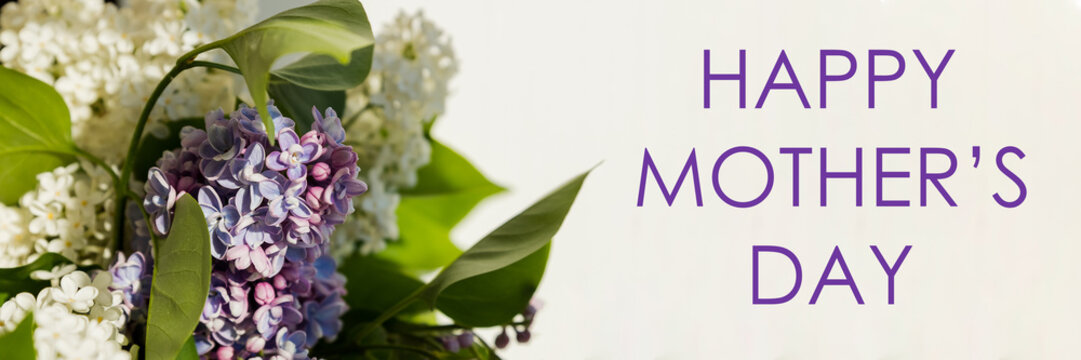 happy mother's day text sign. greeting card. spring flat lay. purple lilac flowers on white background flat lay. blooming flowers in light. web banner