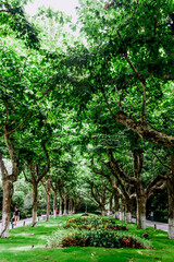 Park at West Lake(Xihu) is located in Hangzhou, Zhejiang province, China.It is a beautiful and famous lake.