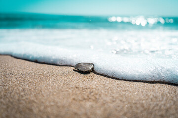 STONE WASHED AWAY BY OCEAN WAVE
