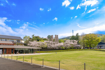 静岡県伊豆の国市　満開の桜と韮山反射炉