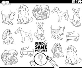 find two same cartoon purebred dogs activity coloring page