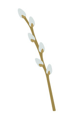 Willow branch. Spring easter plant. Palm Sunday. Isolated vector illustration in flat cartoon style.	