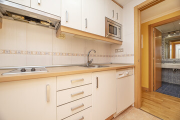 Small kitchen furnished with integrated appliances and matching wooden access door