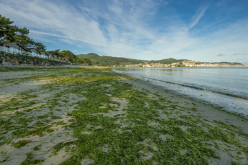 A Galician beach at dawn with a lot of seaweed on the sand