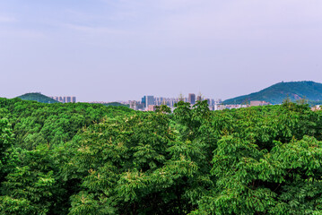 the Window of the World. It is a theme park opened in 1993 and has more than 130 reproductions of famous places in the world. Tianducheng, China is suburb of Hangzhou, Zhejiang