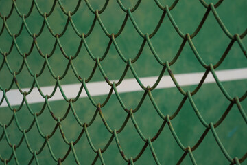 Looked through the iron bars and saw a blurry white line on the green ground.