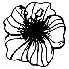 Cute single hand drawn floral elements. Doodle vector illustration for wedding design, logo and greeting card.