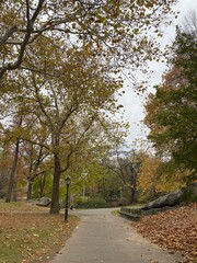 Naklejka premium New York City