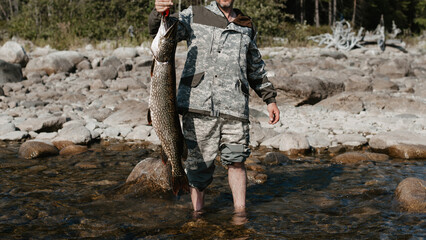 male fisherman holds a large fish pike caught on the shore of the lake against the background of stones