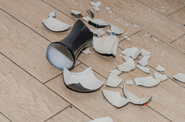 Shards of a broken vase on the floor