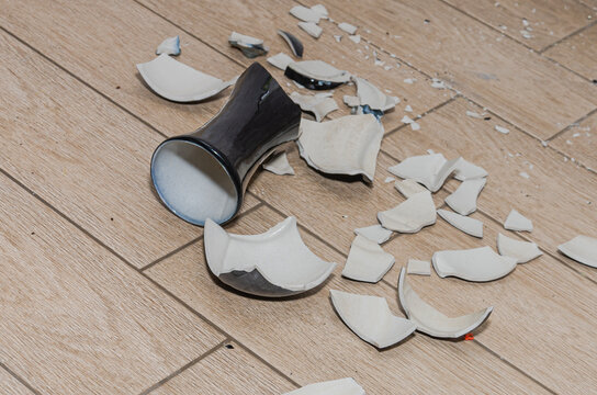 Shards of a broken vase on the floor