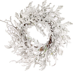 Christmas plants and flowers
