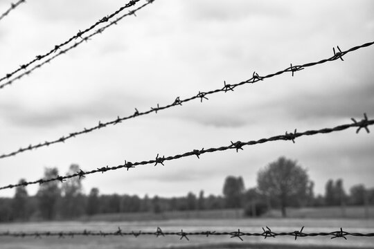 high-voltage barbed wire in an extermination camp in Poland from the period of World War II