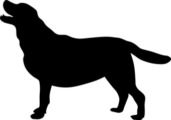 dog silhouette art,background,vector,illustration