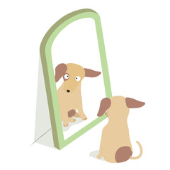A dog looks at itself in the mirror flat colored illustration in cartoon style.  Colored flat vector isolated on white background. Collection of cute pets.