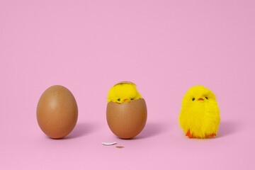 Egg hatch into chicks. Brown egg, funny newborn toy chick with broken egg shell on head, just born chick. Pink background, copyspace. Growth concept. © tg-photo