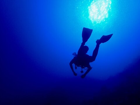 Diver at 15m Egypt 2023