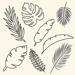Images of different types of leaves