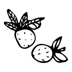 Cute single hand drawn summer set elements. Doodle vector illustration for wedding design, logo and greeting card.