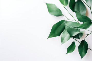 Background pattern with exotic leaves created with AI	