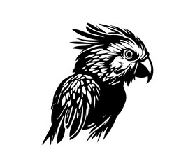 Parrot Face, Silhouettes Parrot Face SVG, black and white Parrot vector