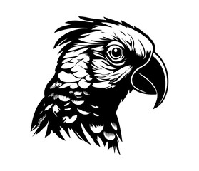 Parrot Face, Silhouettes Parrot Face SVG, black and white Parrot vector