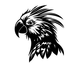 Parrot Face, Silhouettes Parrot Face SVG, black and white Parrot vector