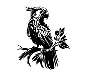 Parrot Face, Silhouettes Parrot Face SVG, black and white Parrot vector