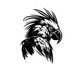 Parrot Face, Silhouettes Parrot Face SVG, black and white Parrot vector