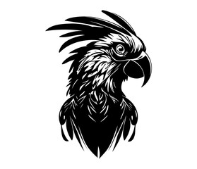 Parrot Face, Silhouettes Parrot Face SVG, black and white Parrot vector