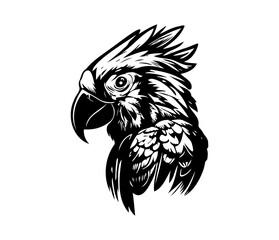 Parrot Face, Silhouettes Parrot Face SVG, black and white Parrot vector