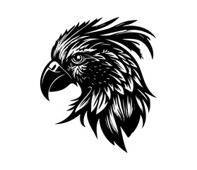 Parrot Face, Silhouettes Parrot Face SVG, black and white Parrot vector