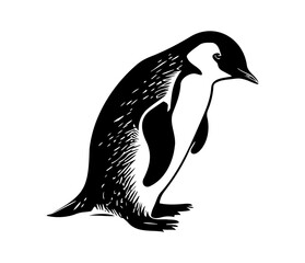 Penguin Face, Silhouettes Penguin Face SVG, black and white Penguin vector
