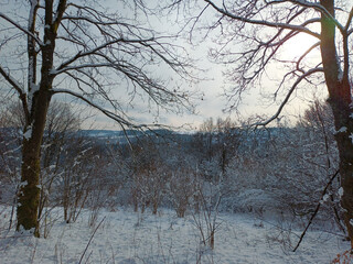 Ausblick auf Winterberg vom Rothaarsteig im Winter