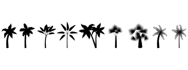 Palm tree black silhouette vector icon, set of black palm trees on white background eps10