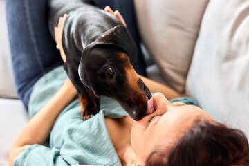 A female owner having a fun time with a dachshund dog, lying on the sofa.