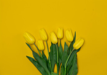 Naklejka premium Bouquet of Yellow Tulips on a yellow background. Copy space for text